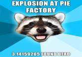 Lame Pun Coon