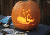 Fail Whale