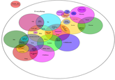 LOLgraphs