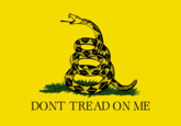 Tea Party Protests