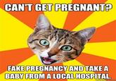 Bad Advice Cat