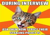 Bad Advice Cat