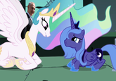 Bibi Bombing