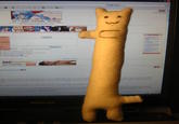 Longcat