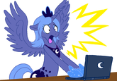 Pony Reactions