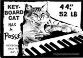 Keyboard Cat