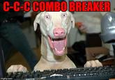 COMBO BREAKER