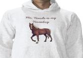 2 Guys 1 Horse / Mr. Hands
