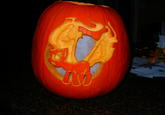 DSCN0399.jpg