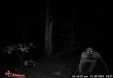 The Rake