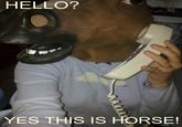 Yes, This is Dog