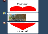 Tumblr