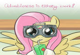 FlutterJuice