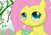 FlutterJuice