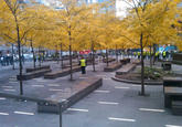 Occupy Wall Street