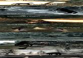 The Elder Scrolls