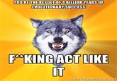 Courage Wolf