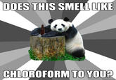 Pickup Line Panda