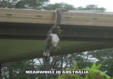 Meanwhile in X