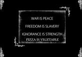 Pizza is a Vegetable