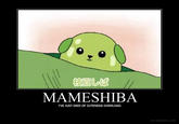 Mameshiba