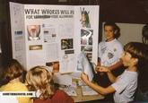 Fake Science Fair Projects