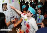 Fake Science Fair Projects