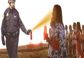 Casually Pepper Spray Everything Cop