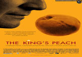 Anagrammed Movie Posters
