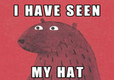 I Want My Hat Back