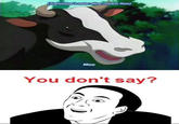 You Don't Say?