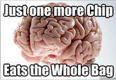 Scumbag Brain