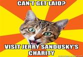 Bad Advice Cat