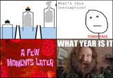 What Year Is It?