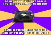 Anxiety Cat