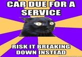 Anxiety Cat