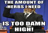 Bitch. Needs more herbs!