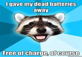 Lame Pun Coon