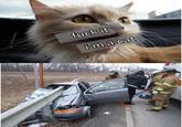 Fuck It I'm Young