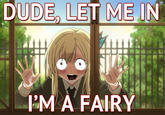 Dude! Let me in! I'm a fairy!