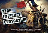 Protect IP Act / Stop Online Piracy Act