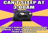 Anxiety Cat