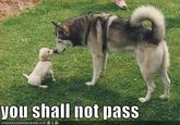 You Shall Not Pass!!!