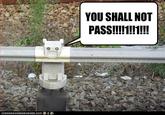 You Shall Not Pass!!!