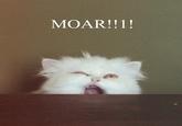 MOAR