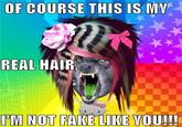Scene Wolf