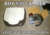 Scumbag Hat