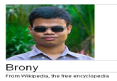 Wikipedia Donation Banner Captions