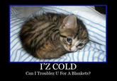 LOLcats