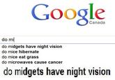 Google Search Box Suggestions 